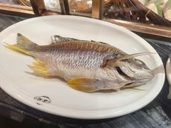 -吴记富苑(朝阳店)