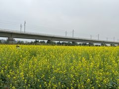 -光明小镇欢乐田园