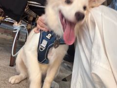 -JamaicaBlue Cafe(乌鲁木齐中路店)