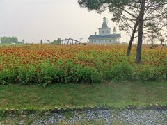 -东戴河风景区