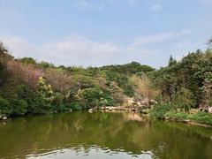 -云溪植物园