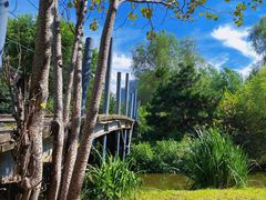 -长白岛森林公园