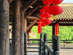 -大唐贡茶院