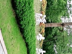 -云溪植物园