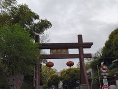 -龙井村