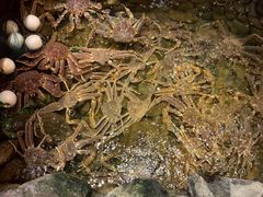 -綱元·海鲜豆捞(明州里店)