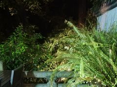 -宋宴(虎跑店)