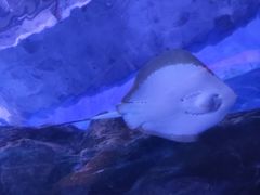 -多彩贵州城极地海洋世界