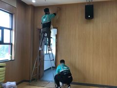 -叶子环保专业除甲醛(广州总部)