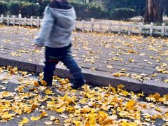 android_upload_pic-八大关景区