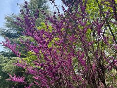 -白塘生态植物园