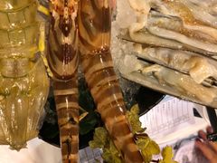 -鲜入围煮花胶鸡海鲜火锅