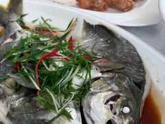 清蒸石斑鱼-众味海鲜大排档·活海鲜·潮汕味(南澳店)