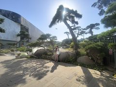 -罗红摄影艺术馆