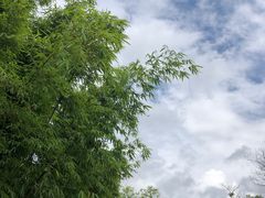 -西南林业大学(白龙校区)