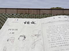-观潮胜地公园