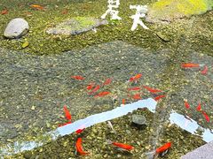 -几荷·恰似故人来(秀水广场店)