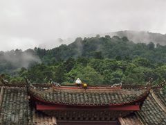 -峨眉山报国寺