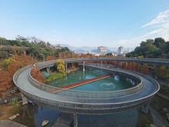 -福道