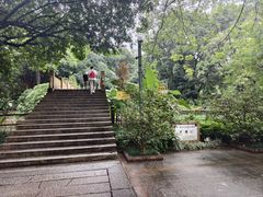 -晓港公园