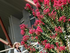 -杭州城北体育公园