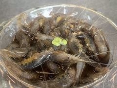 -梅林春晓花园餐厅