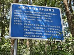 -广州市流溪河国家森林公园