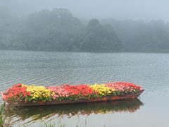 -广州市石门国家森林公园