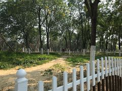 -回龙观体育文化公园