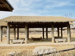 -济南野生动物世界