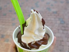 冻酸奶-Salud撒露欧洲冻酸奶(蓝色港湾店)