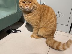 -平行世界·猫咖(首经贸店)