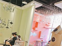 -藏猫猫咖啡主题馆(中央大道店)