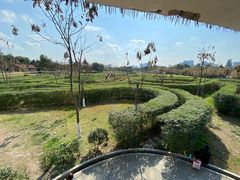 -眉山湿地公园(东坡区)