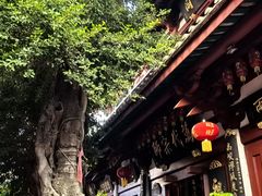 -叩齿古寺