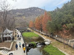 -白水寺森林公园