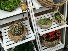 android_upload_pic-三圣花乡旅游区