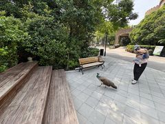 -J Create城市露营咖啡·简餐·宠物(上海动物园店)