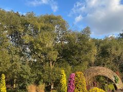 -共青国家森林公园-售票处