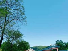 -九龙江国家森林公园