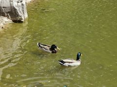 -香山公园-东宫门售票处