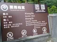 -都江堰中华大熊猫苑