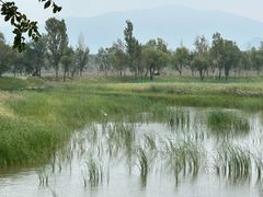 -野鸭湖国家湿地公园