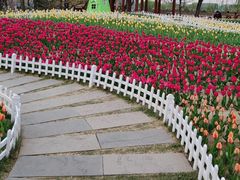 -廊坊文化艺术中心