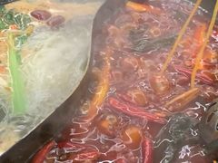 -阳阳老火锅(小南门店)