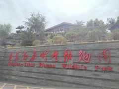 -青藏高原野生动物园