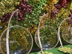 -青水瓦台汤泉(未央店)