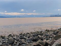 -深圳湾公园(南山区)