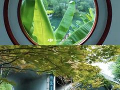 -环城公园