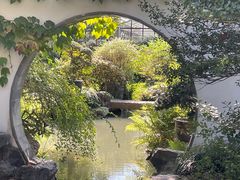 -上海醉白池公园